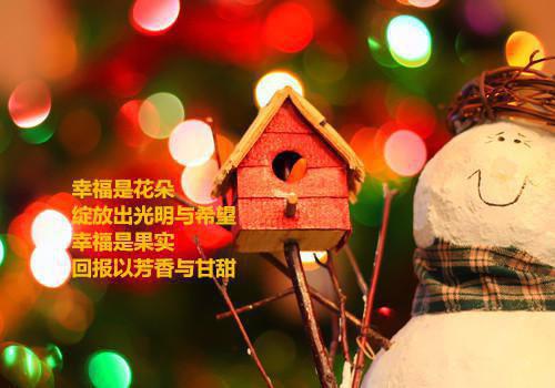完结版小说黎晚歌慕承弦正版第8章阅读