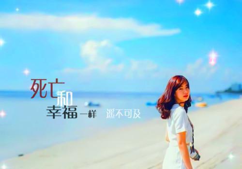 正能量关于团队的句子