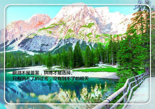 2023高考必备满分作文素材