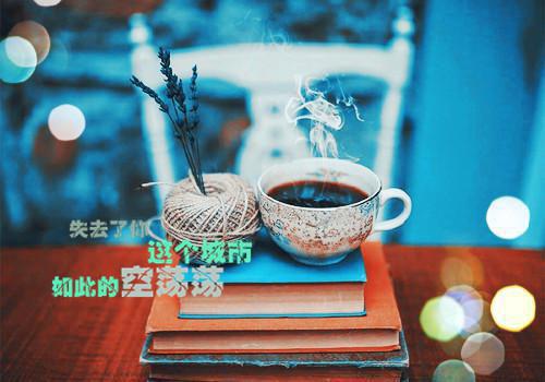 最新晚安正能量的句子