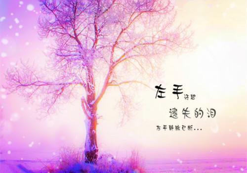 体现母爱的句子