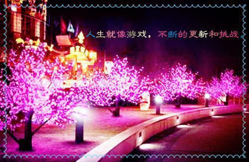 (番外)+(全文)乔娜沈安无广告无弹窗（十年纠缠一场空：结局+番外）全文免费阅读无弹窗大结局_(乔娜沈安)最新章节列表_笔趣阁（十年纠缠一场空：结局+番外）