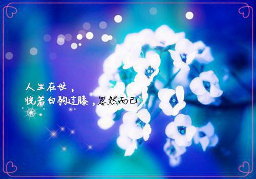 令人悲伤的爱情散文欣赏