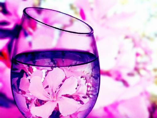 青青陌上桑裴渡宋慕宁完本+(裴渡宋慕宁)一口气阅读青青陌上桑裴渡宋慕宁:结局+番外最新章节列表_笔趣阁(裴渡宋慕宁)