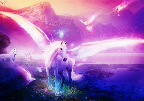 对毕业论文的答辩评语