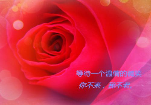 六年级暖心童话故事范文