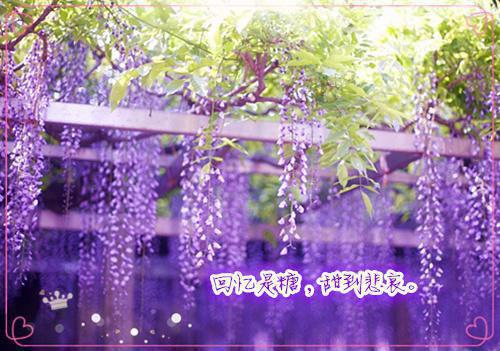 宁萧云苍显（南风不知意宁萧云苍显小说）全文免费阅读无弹窗大结局_(南风不知意宁萧云苍显小说)最新章节列表_笔趣阁（南风不知意宁萧云苍显小说）