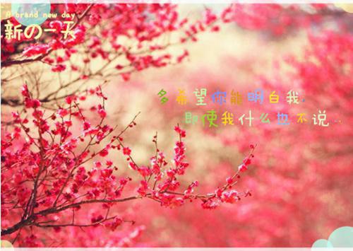 完结版小说伪人入侵，从东京太太开始第7章阅读