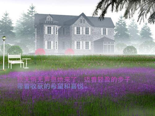 洛凝芷全章节_无痛当妈，王妃养的儿子顶呱呱免费小说阅读