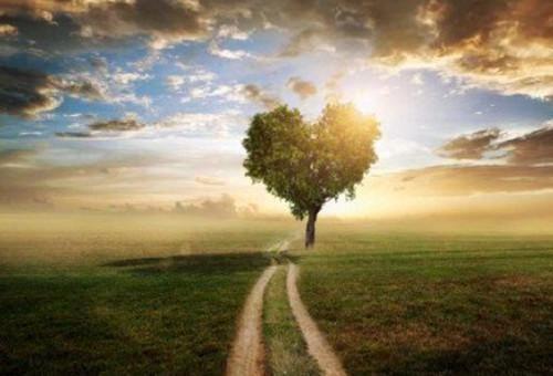 浮生未白首：全文+后续（江穗晚谢宴臣）全文免费阅读无弹窗大结局_（浮生未白首：全文+后续免费阅读全文大结局）最新章节列表_笔趣阁（江穗晚谢宴臣）