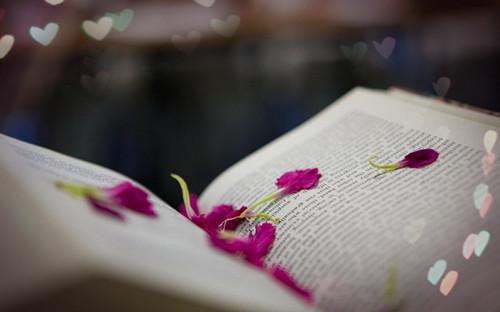 初二学生成绩差生评语