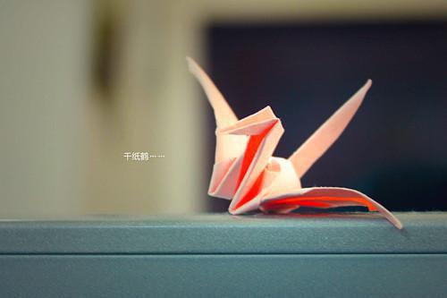 刘嘉宸安沐颜安沐颜小说_刘嘉宸安沐颜免费阅读