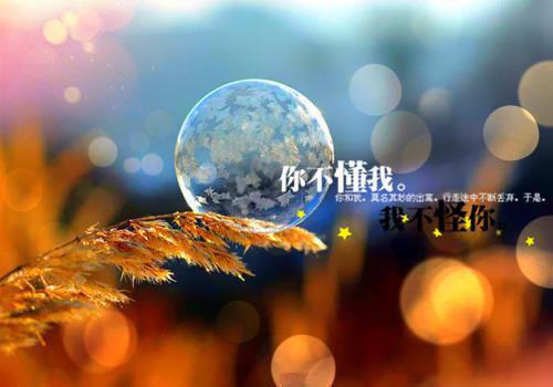 害怕被冷落的无助qq签名 一个人的女生伤心短句2023