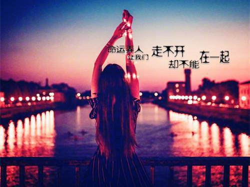 (番外)+(全文)重逢后，禁欲贺总不装了：全文+结局+番外（岑若星贺宴礼）全文免费阅读无弹窗大结局_(重逢后，禁欲贺总不装了：全文+结局+番外)最新章节列表_笔趣阁（岑若星贺宴礼）