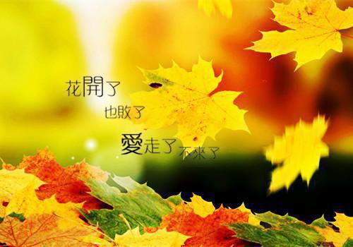 俞晴薇于秋鸿叶岭是什么小说_俞晴薇于秋鸿叶岭小说和女友交往六年后，我提出了分手小说是《和女友交往六年后，我提出了分手小说》