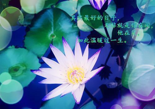 老公为了白月光瞒着我做了结扎手术苏悦傅辰小说_老公为了白月光瞒着我做了结扎手术完结版阅读