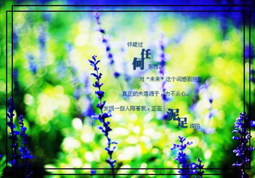 2023好听的伤感励志歌曲