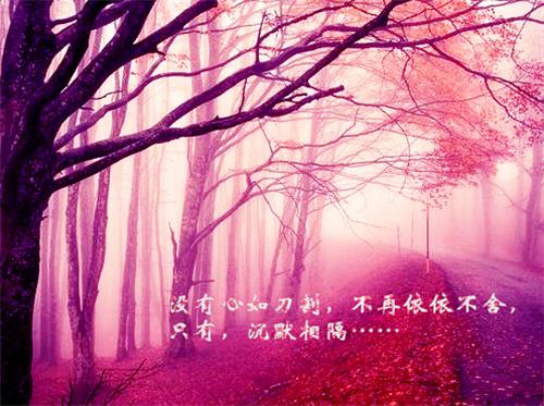 (番外)+(全文)初逢青山梦长安：结局+番外（沈书妤顾怀瑾）全文免费阅读无弹窗大结局_（初逢青山梦长安：结局+番外免费阅读全文大结局）最新章节列表_笔趣阁（初逢青山梦长安：结局+番外）