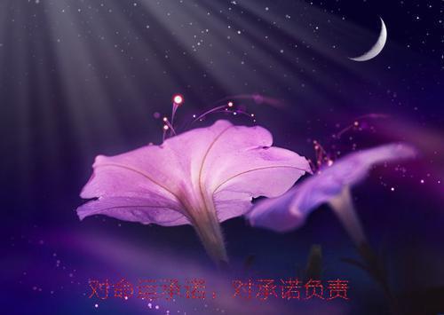 诚信为荣名言名句