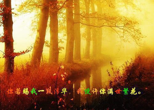 缘尽了爱散了:结局+番外萧墨深乔妍苏欣免费阅读无弹窗大结局_(缘尽了爱散了:结局+番外)萧墨深乔妍苏欣最新章节列表_笔趣阁(缘尽了爱散了:结局+番外)