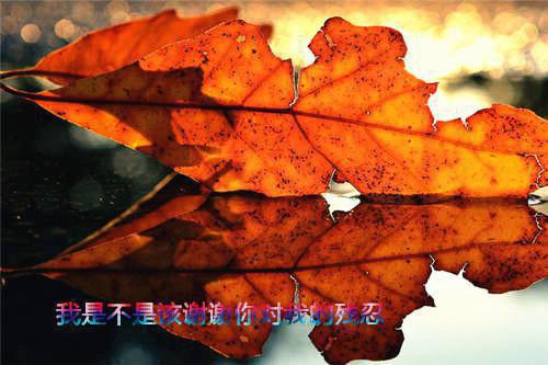 雪落再说爱你周京泽：结局+番外+结局（宋南夕周京泽）全文免费阅读无弹窗大结局_雪落再说爱你周京泽：结局+番外免费阅读最新章节列表_笔趣阁（雪落再说爱你周京泽：结局+番外）
