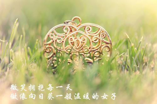 佚名的小说_被驸马骗婚后，我送他满门抄斩江陵京兆尹宁安柳鸢小说阅读