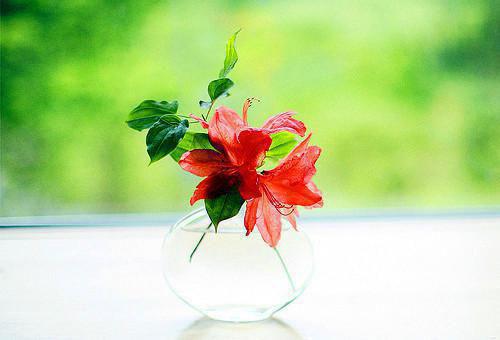 佚名的小说竹马让我当妾，我不嫁了宋明珠陆衡宋晚宁李怀恩全文阅读