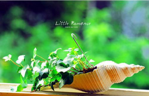 全文重生回闺蜜肚子里,我俩杀疯了(苏月明沈佳琪)全文免费阅读无弹窗大结局_(重生回闺蜜肚子里,我俩杀疯了)最新章节列表_笔趣阁(苏月明沈佳琪)