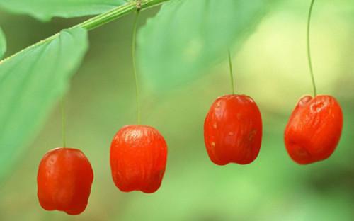 (番外)+(全文)（爱意沉默：结局+番外）程若薇江辰结局+番外（爱意沉默：结局+番外）（程若薇江辰）全文免费阅读无弹窗大结局_（程若薇江辰免费阅读）（爱意沉默：结局+番外）程若薇江辰免费阅读无弹窗最新章节列表_笔趣阁（程若薇江辰）