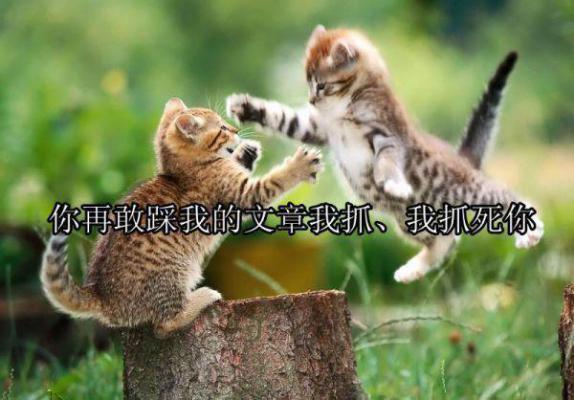 (番外)+(全文)顾宴京沈安白(山遥月渐隐顾宴京沈安白 ：结局+番外)全文免费阅读无弹窗大结局_(顾宴京沈安白)最新章节列表_笔趣阁(山遥月渐隐顾宴京沈安白 ：结局+番外)