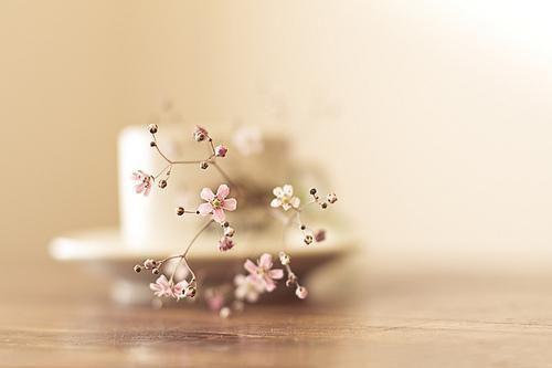 (番外)+(全文)雪落再说爱你：全文+结局+番外(宋南夕周京泽江雪宁)全文小说最新列表_雪落再说爱你：全文+结局+番外(宋南夕周京泽江雪宁)全文阅读无弹窗雪落再说爱你：全文+结局+番外