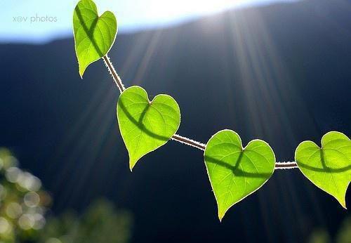 小说昔日长枪落马归 免费主角为翊璟,陆翊璟,陆家免费阅读