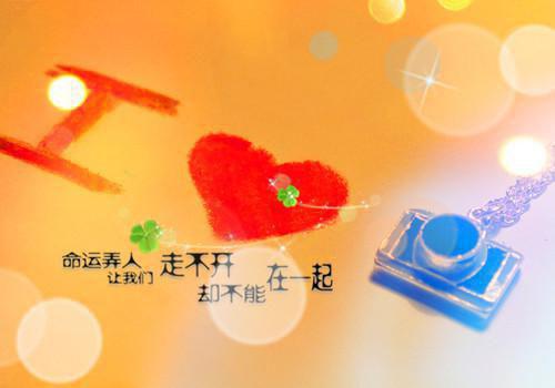 完结版小说苏晓云程旭寒：结局+番外第12章阅读