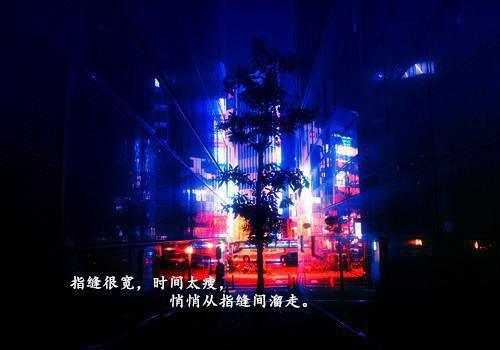温钰辞舒挽宁+番外温钰辞小说全文免费阅读