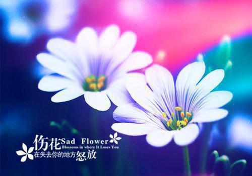 2023年高考励志写作素材