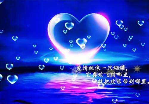 老婆孩子都选白月光，这婚我离定了会飞的五花肉完本在线小说免费阅读