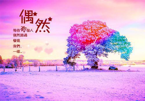 (番外)+(全文)妈妈被仇人砍杀时，姐姐在陪庶弟过生辰：全文+番外下载阅读_(顾明顾竹隋若心)妈妈被仇人砍杀时，姐姐在陪庶弟过生辰：全文+番外最新章节列表_笔趣阁（顾明顾竹隋若心）