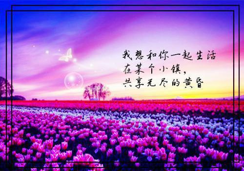 完结版小说八零播音员，奋发图强要离婚第1章阅读