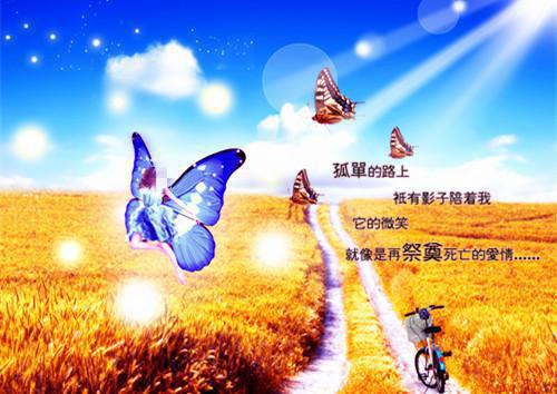 一晴方觉夏深在线夏舒意小说全文免费阅读