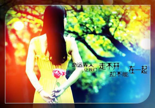 赵青云沈清辞在线沈清辞小说_赵青云沈清辞在线完结版阅读