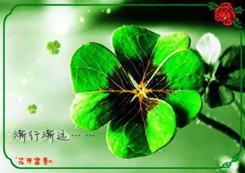 优美浪漫的结婚祝福语