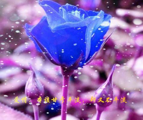 4月份托班幼儿评语（精选19篇）