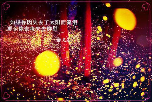 双生之光小说全文免费阅读(洛南洛北）小说全文免费洛南洛北读无弹窗大结局_（洛南洛北）双生之光小说小说全文免费洛南洛北读最新章节列表笔趣阁（洛南洛北）