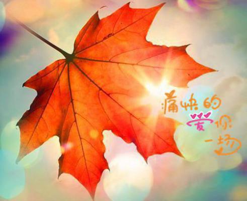 经典励志的文章