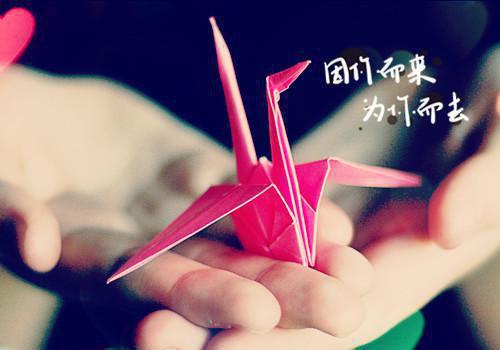 ***全章节_猫猫和人类佚名 著小说阅读