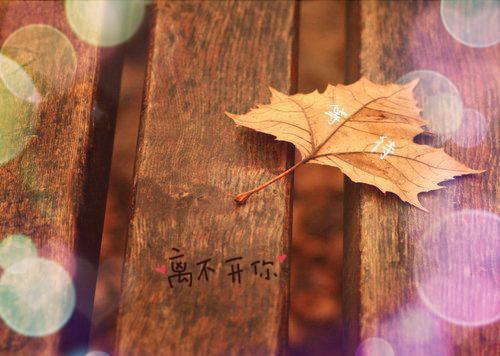 玉兔捣药的汉族神话传说故事