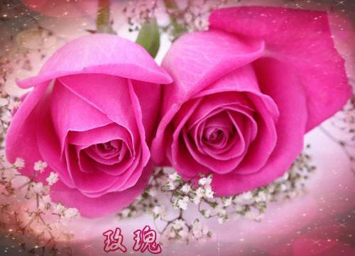 (番外)+(全文)愿你不染人间愁全文（傅慎川沈兮棠）全文免费阅读无弹窗大结局_愿你不染人间愁全文最新章节列表_笔趣阁（愿你不染人间愁全文）