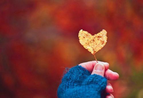 秦宁的小说秦宁商时序阿彩一,王野,阿宁全文阅读