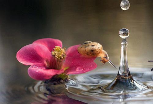 幼儿小班学期评语(通用29篇)