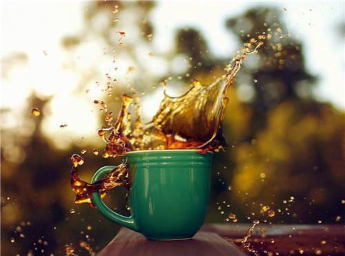 似曾相识雁归来：+后续+结局精选作品之一（谢少瑜崔雁）最新章节列表_似曾相识雁归来：+后续+结局精选作品之一全文阅读